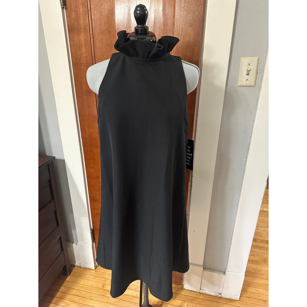 Tuckernuck Black Blythe Dress Size Small NWT Ruffle Tie Neck Mini Dress